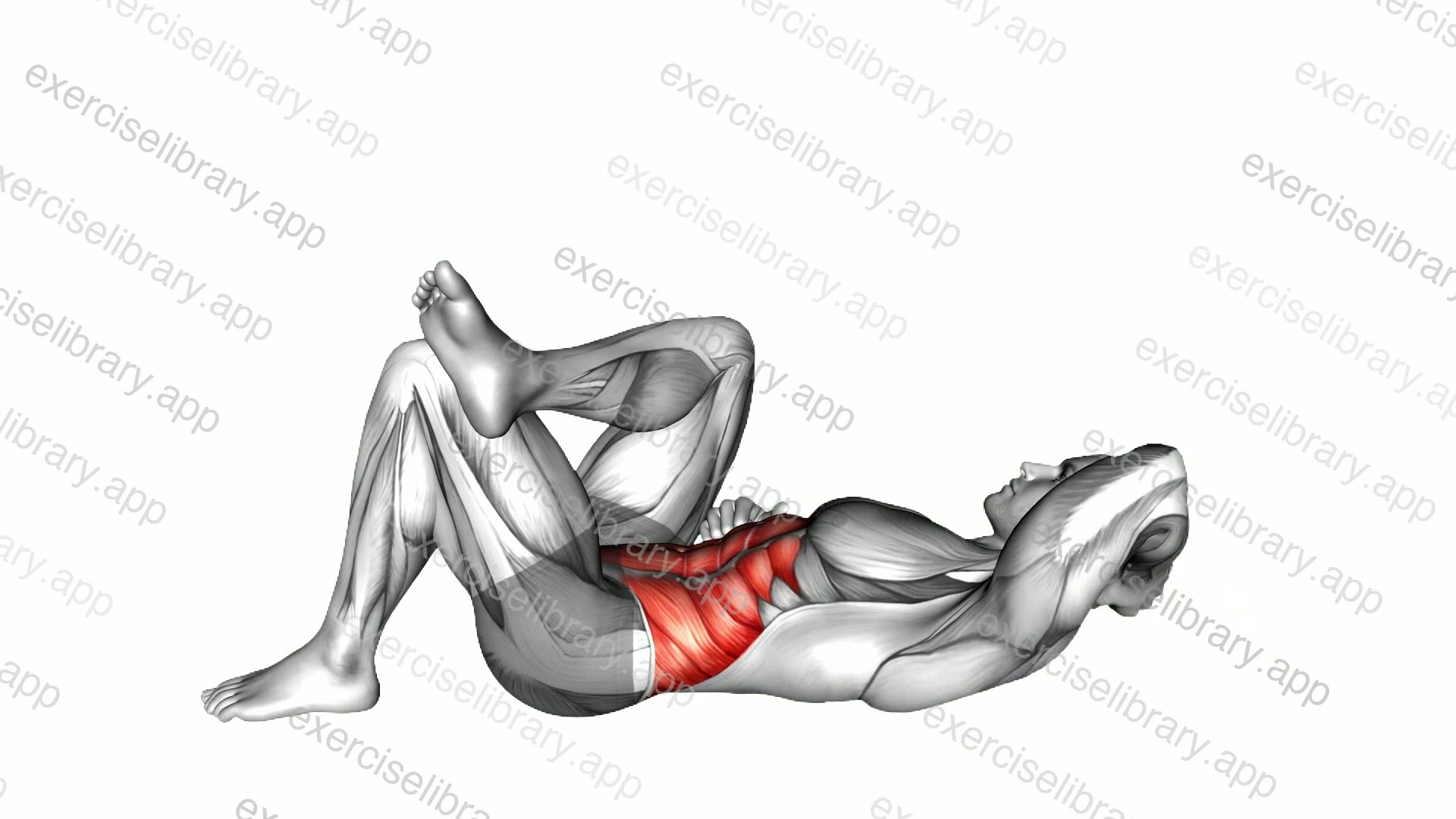 Lying Elbow to Knee demonstration