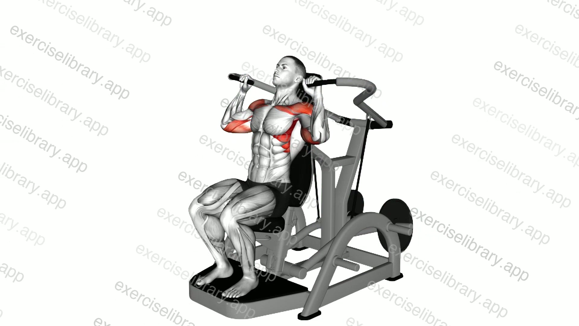 Lever Shoulder Press version 3 demonstration