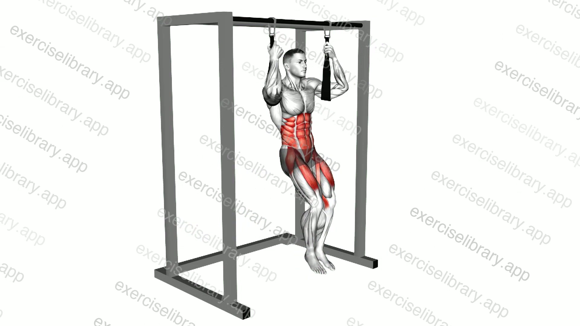 Arm slingers Hanging Straight Legs demonstration