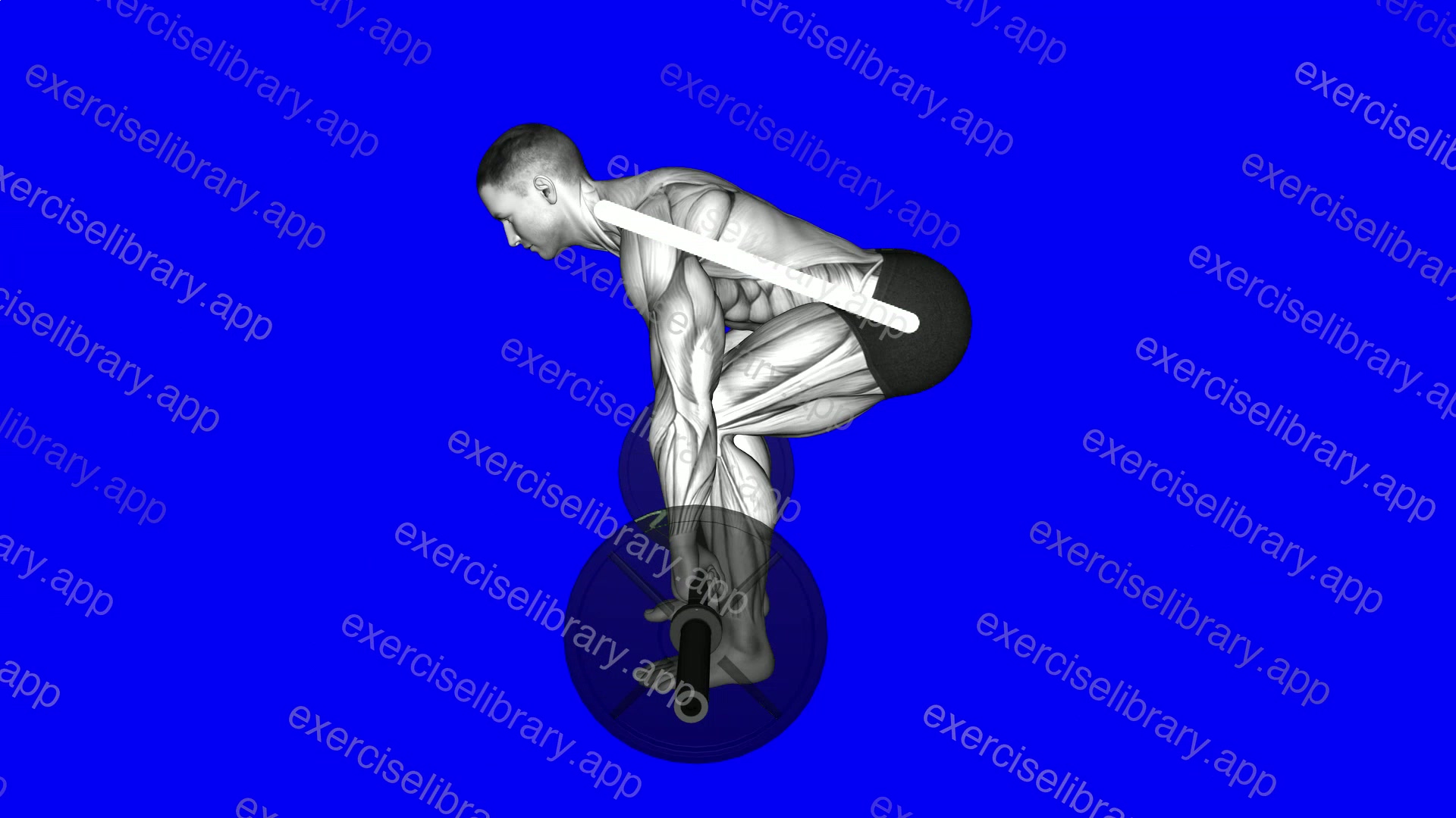 Deadlift - Back demonstration