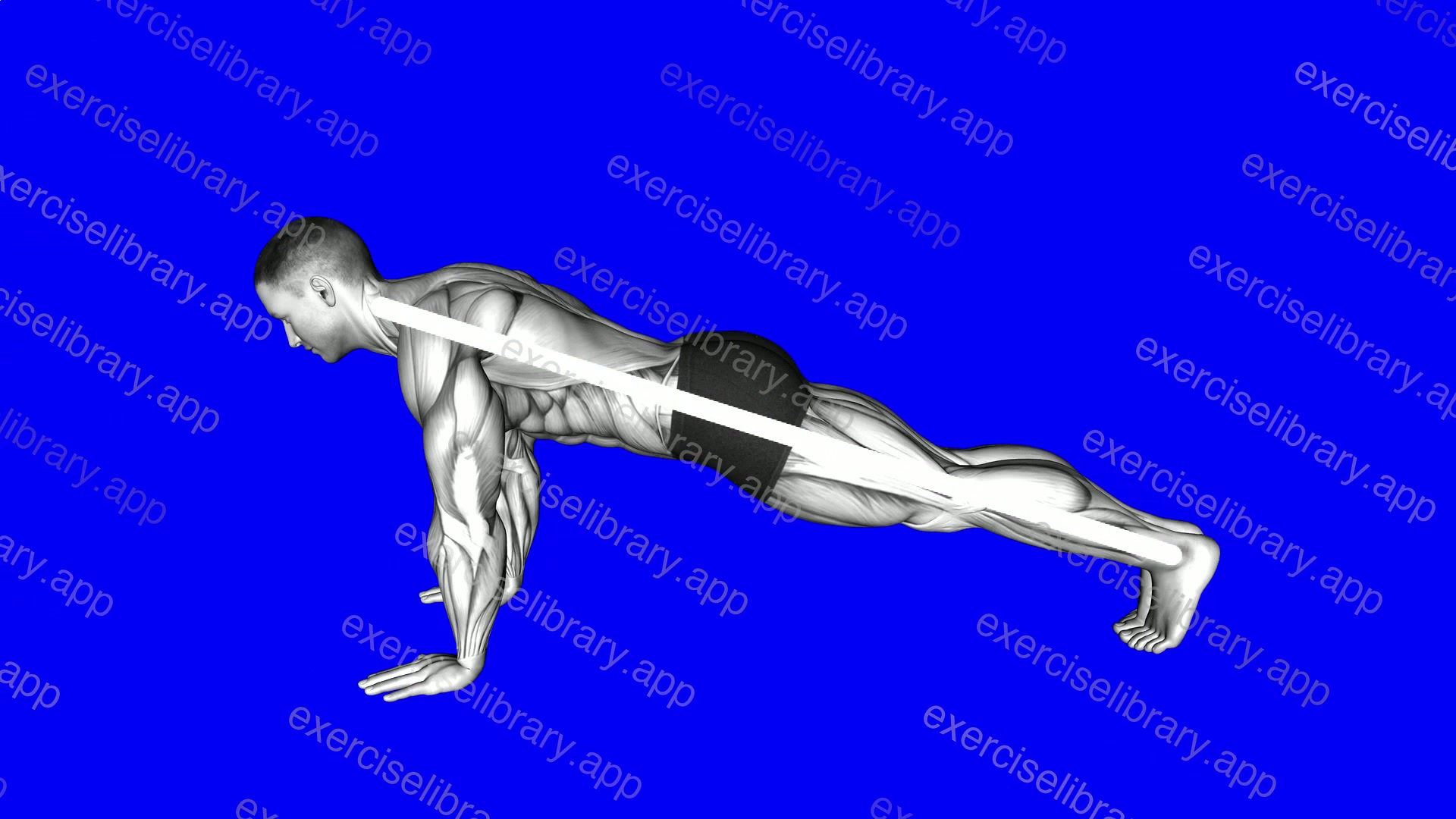 Plank - Butt demonstration