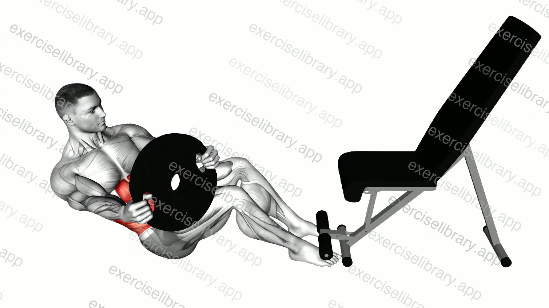 Weighted Russian Twist demonstration
