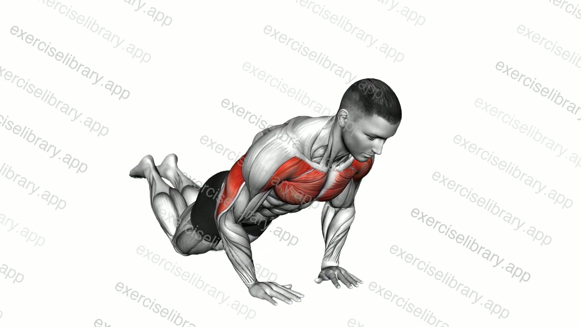 Close grip Push-up demonstration
