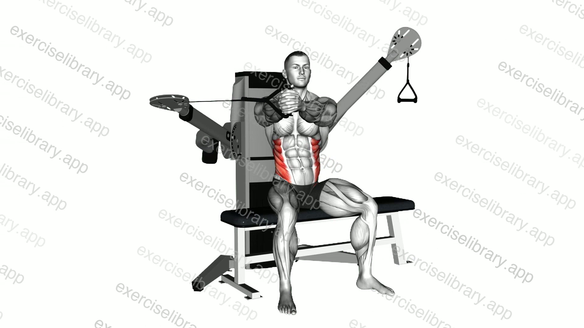 Cable Seated Twist demonstration