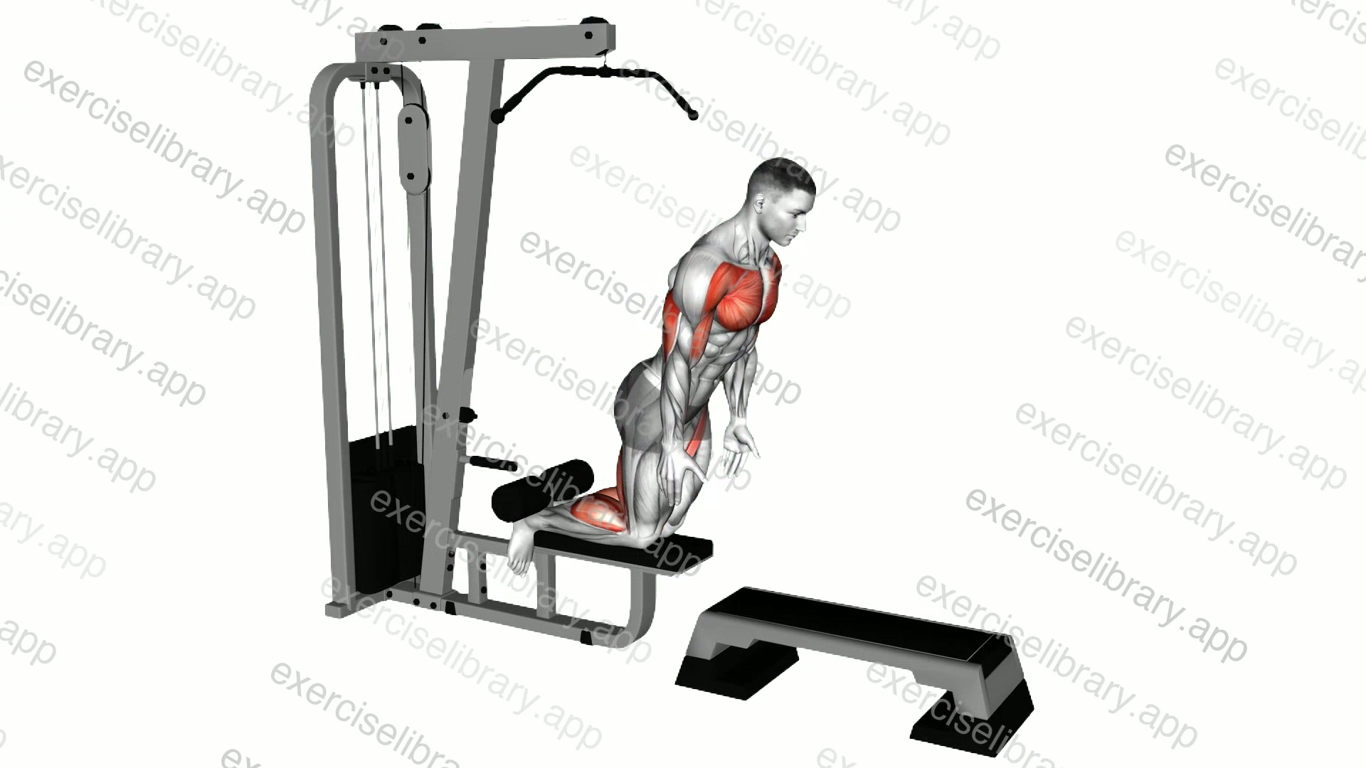 Inverse Leg Curl demonstration