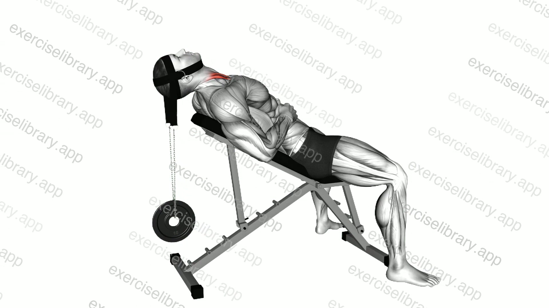Weighted Lying Neck Flexion demonstration