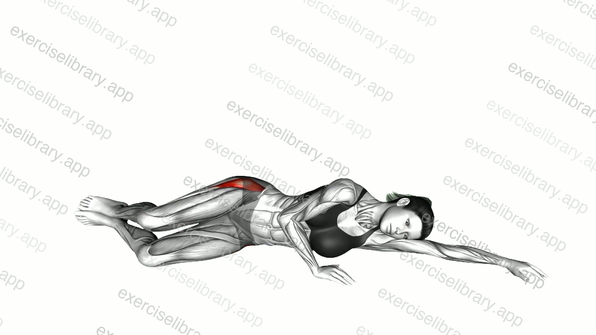 Side Lying Clam demonstration