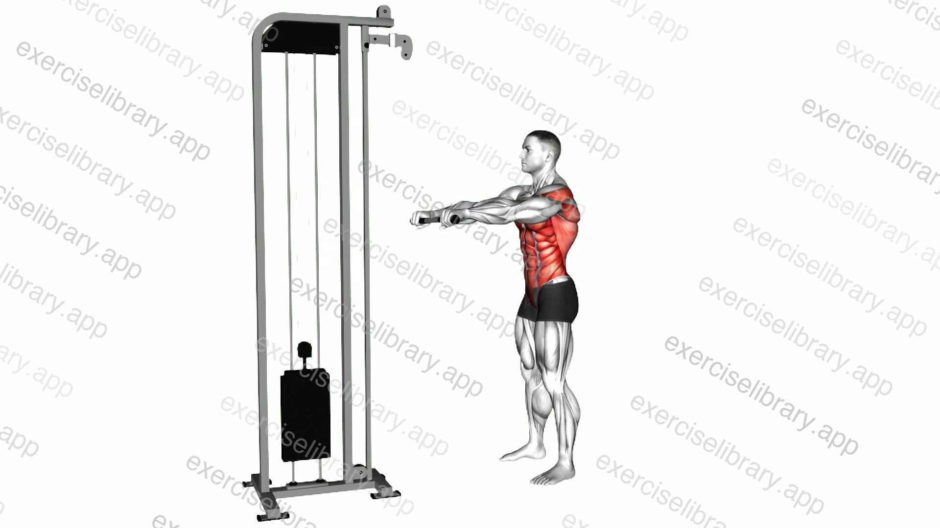 Cable Thibaudeau Kayak Row demonstration