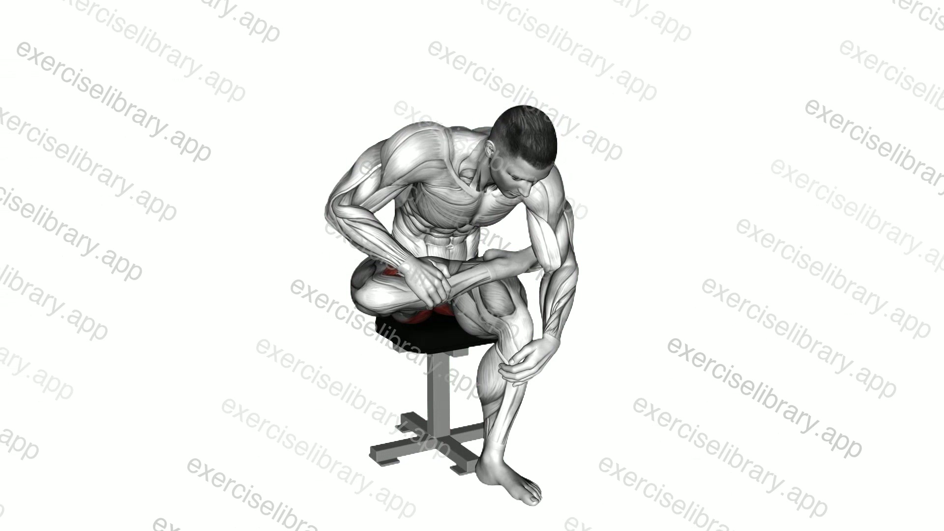Seated Piriformis Stretch demonstration