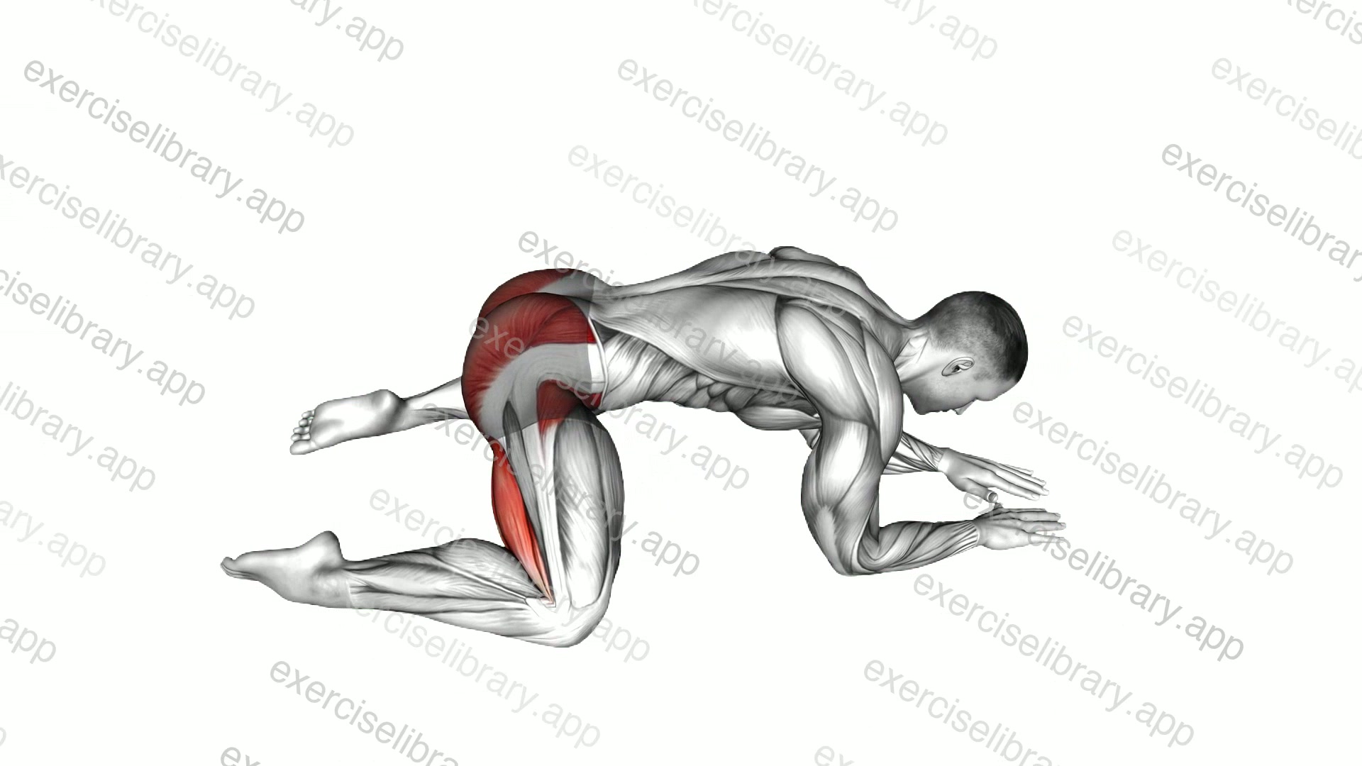 Rocking Frog Stretch demonstration