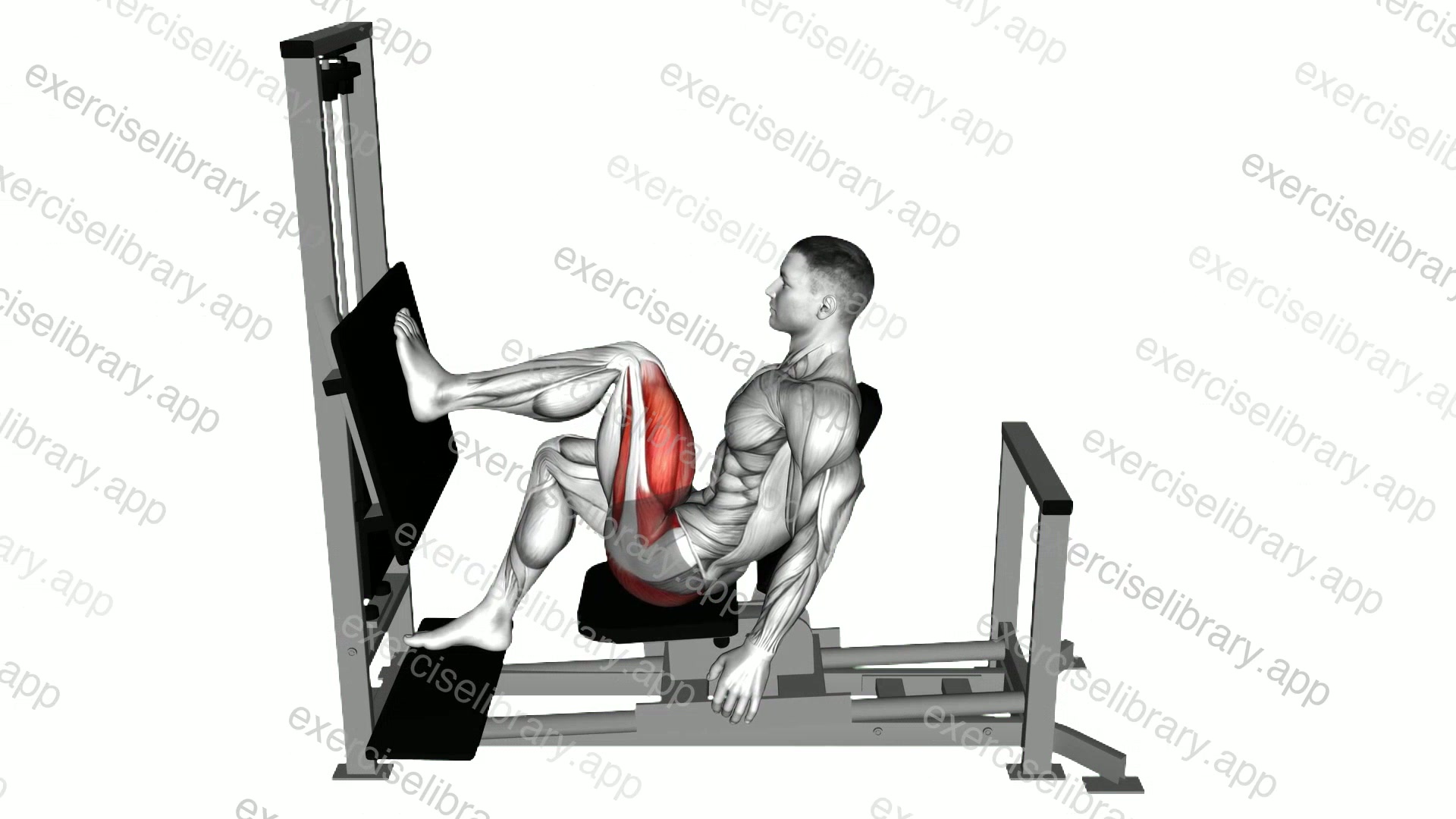 Lever Horizontal One leg Press demonstration