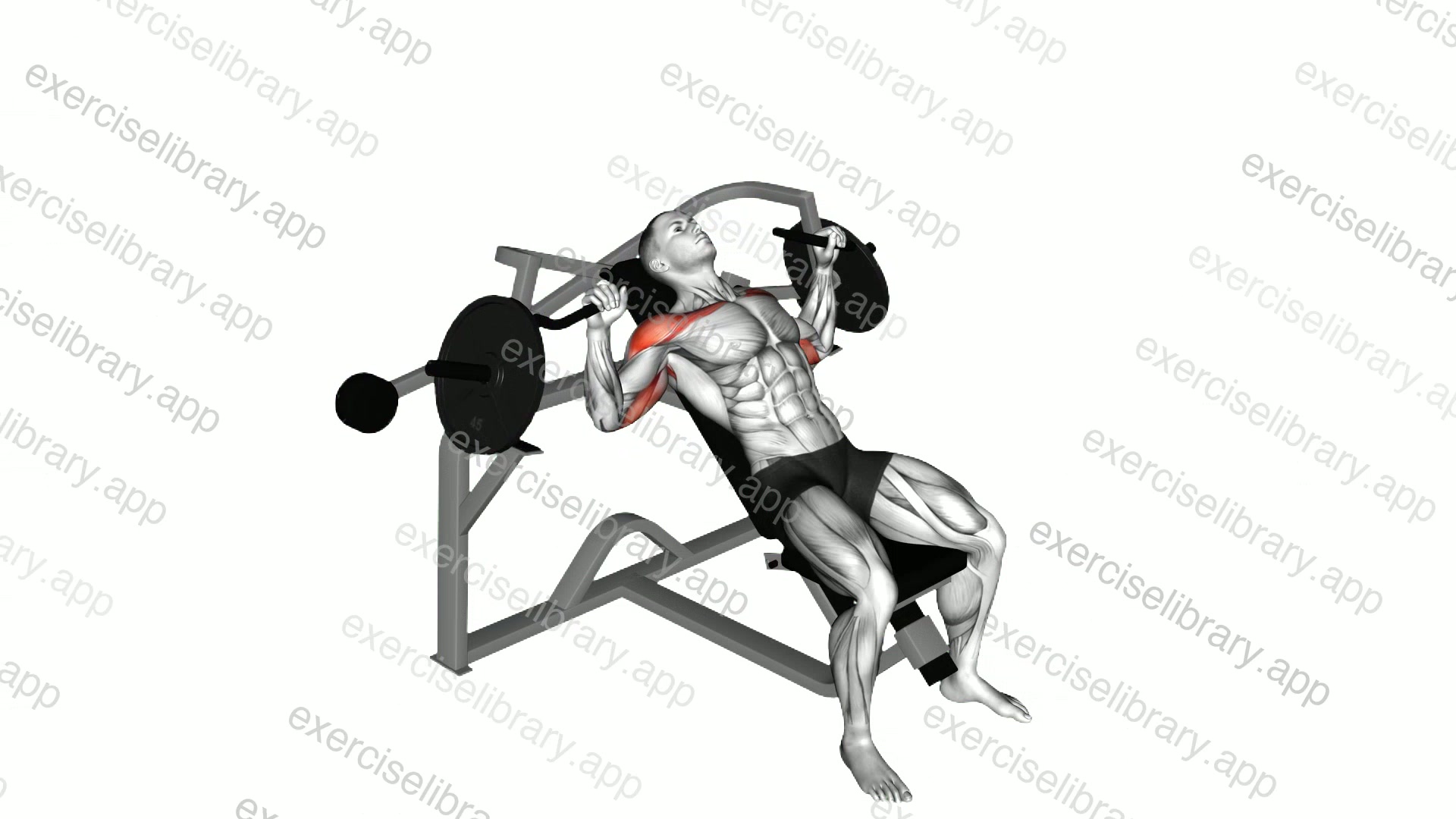 Lever Incline Chest Press demonstration