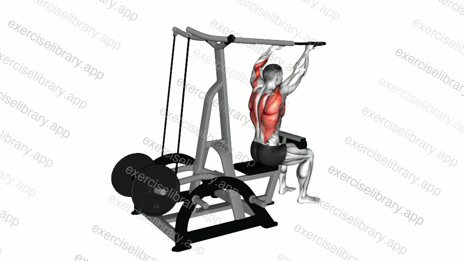 Lever High Row demonstration