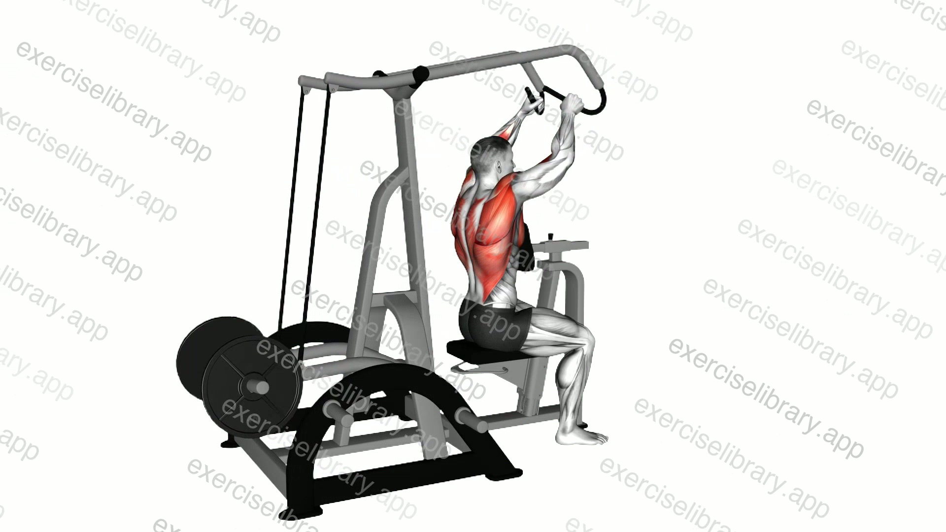 Lever High Row demonstration