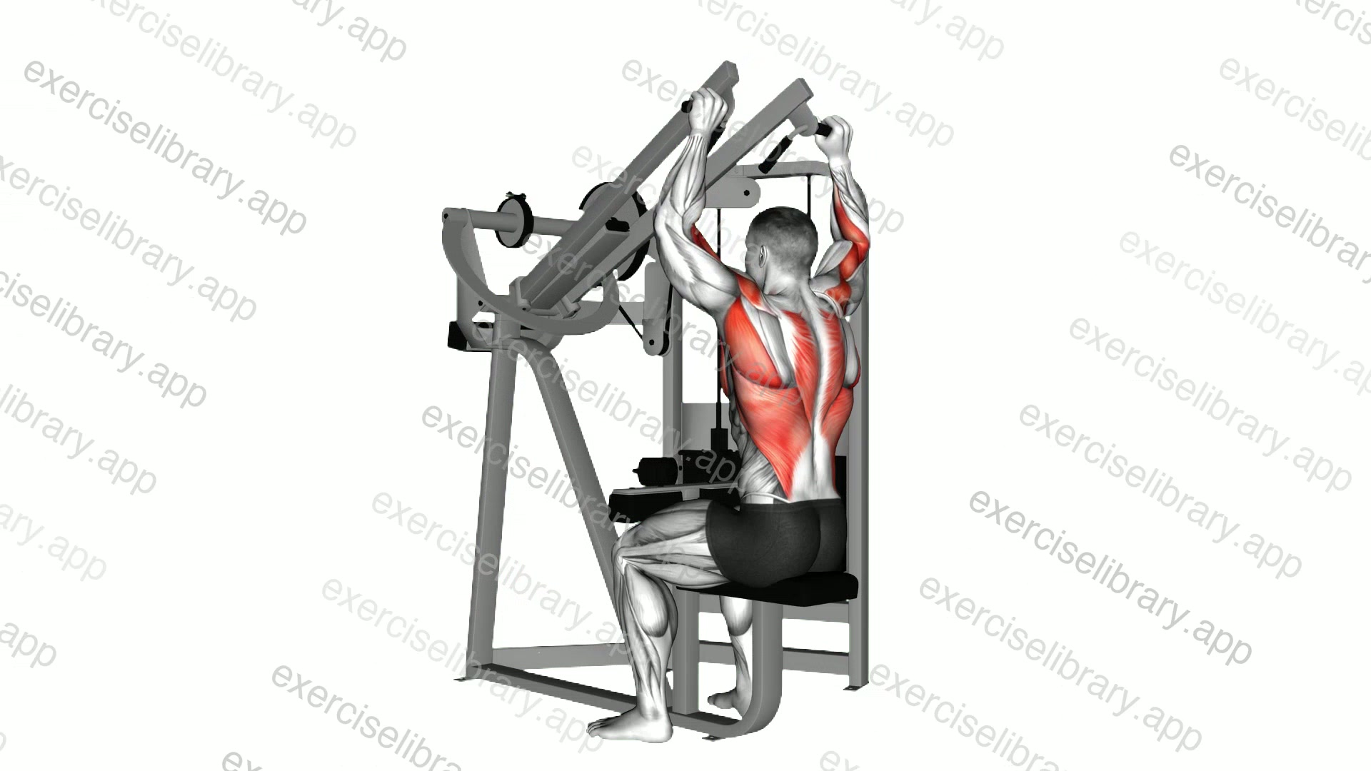 Lever Lateral Wide Pulldown demonstration