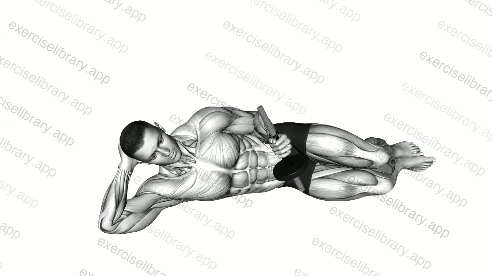 Dumbbell Lying Pronation on Floor demonstration
