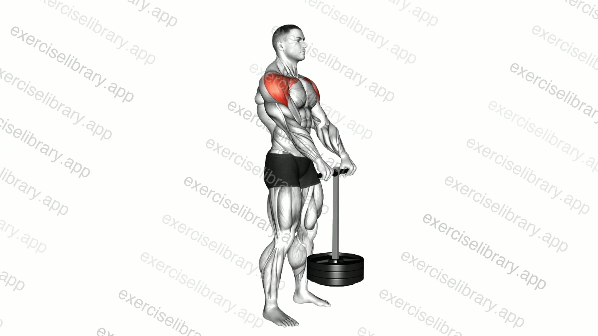 StrongMan Front Hold demonstration