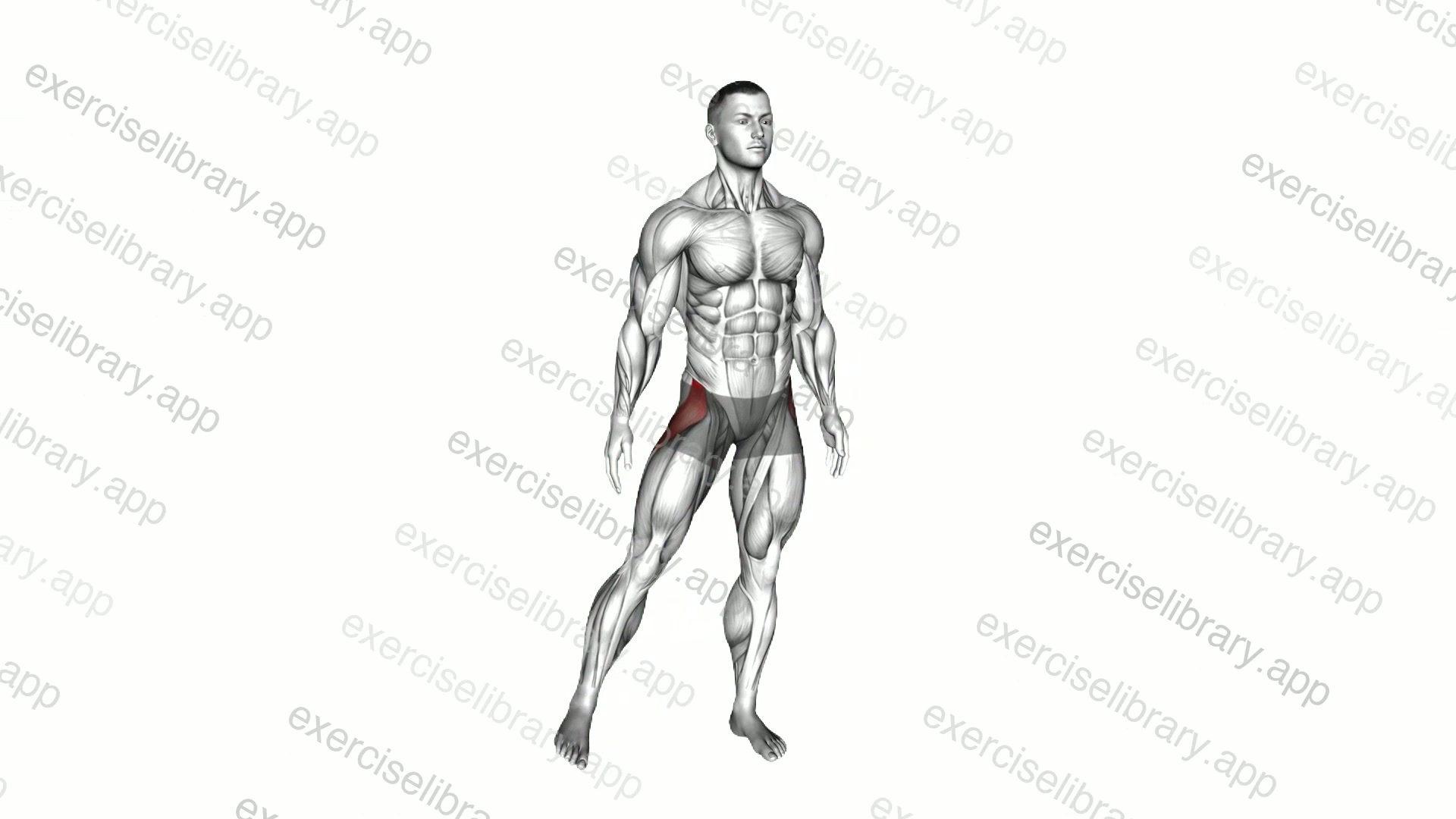 Hip - Abduction demonstration