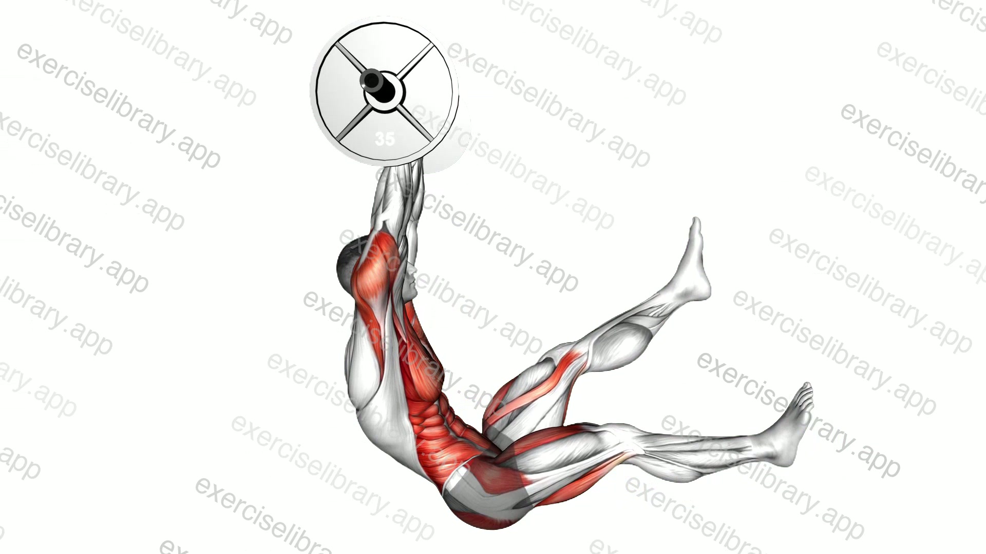 Barbell Sitting Alternate Leg Raise demonstration