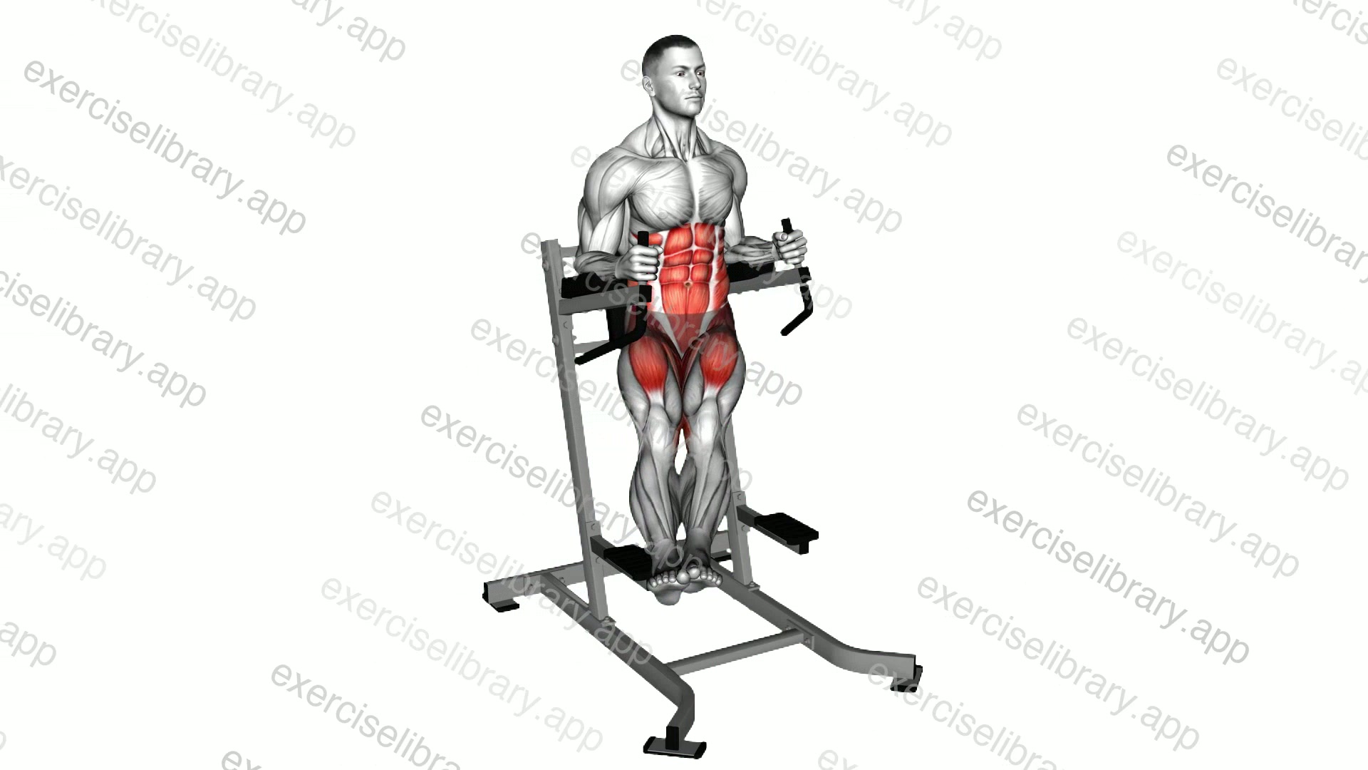 Twisted Leg Raise demonstration