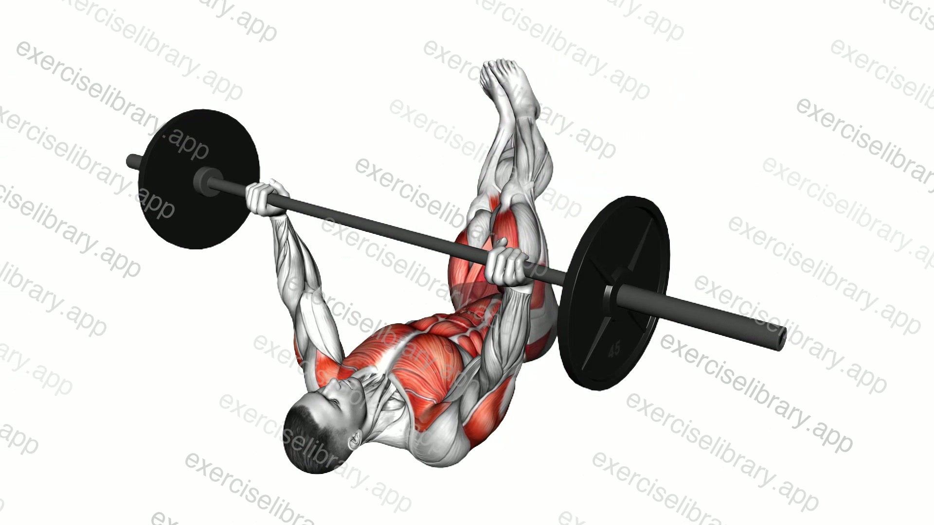 Barbell Leg Twist Press demonstration