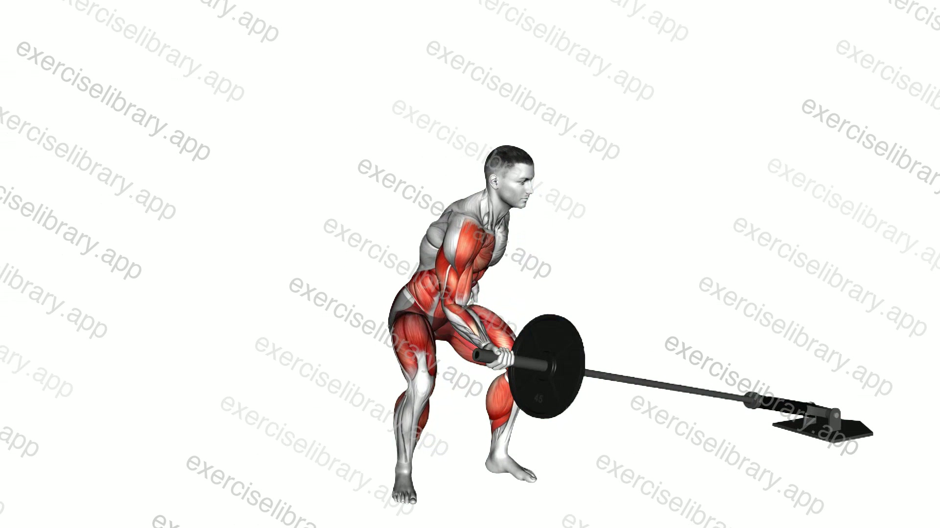Barbell One Arm Twisted Clean and Press demonstration