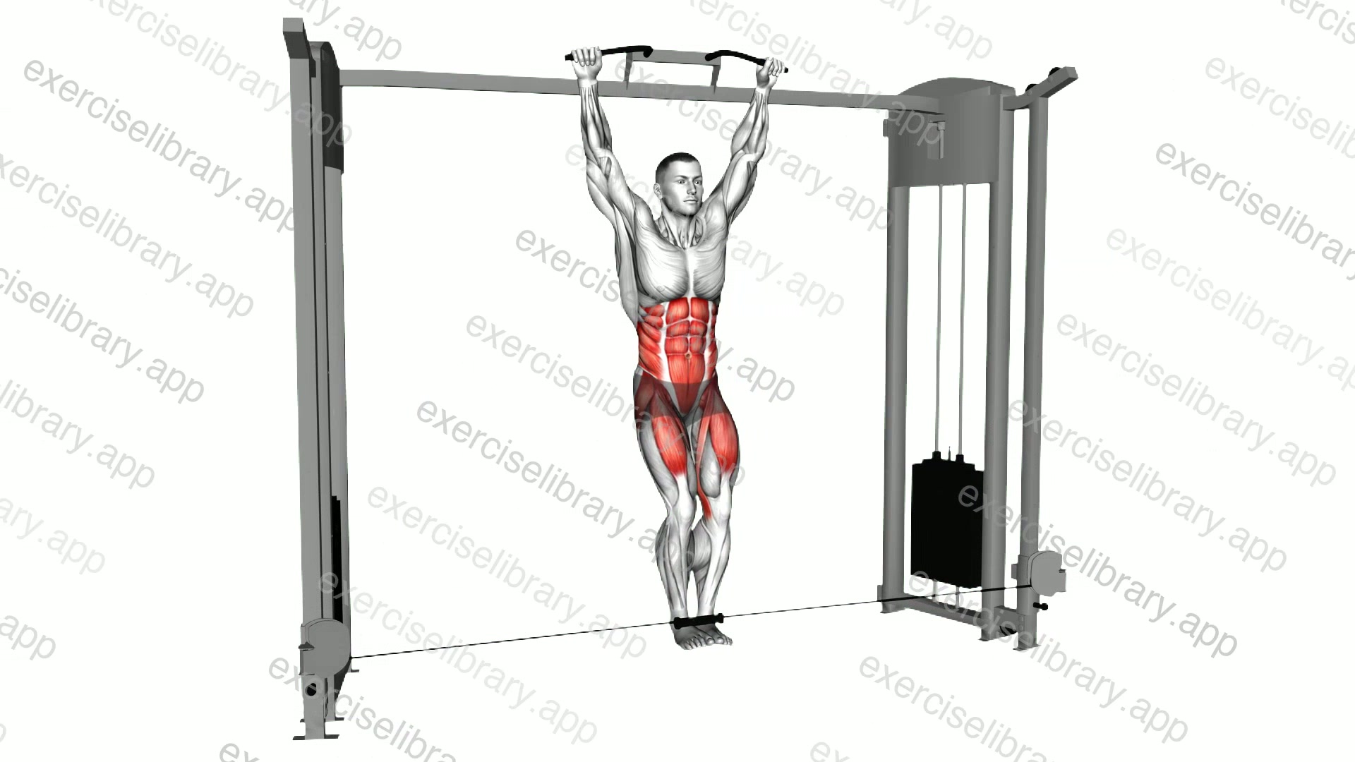 Cable Hanging Leg Raise demonstration