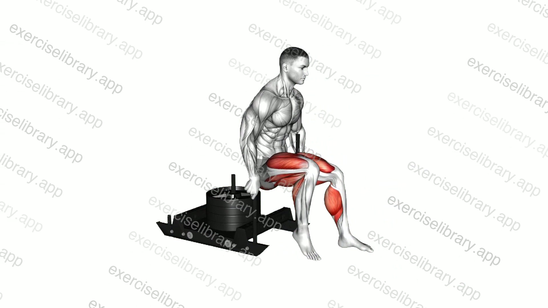 Power Sled Backward Push demonstration