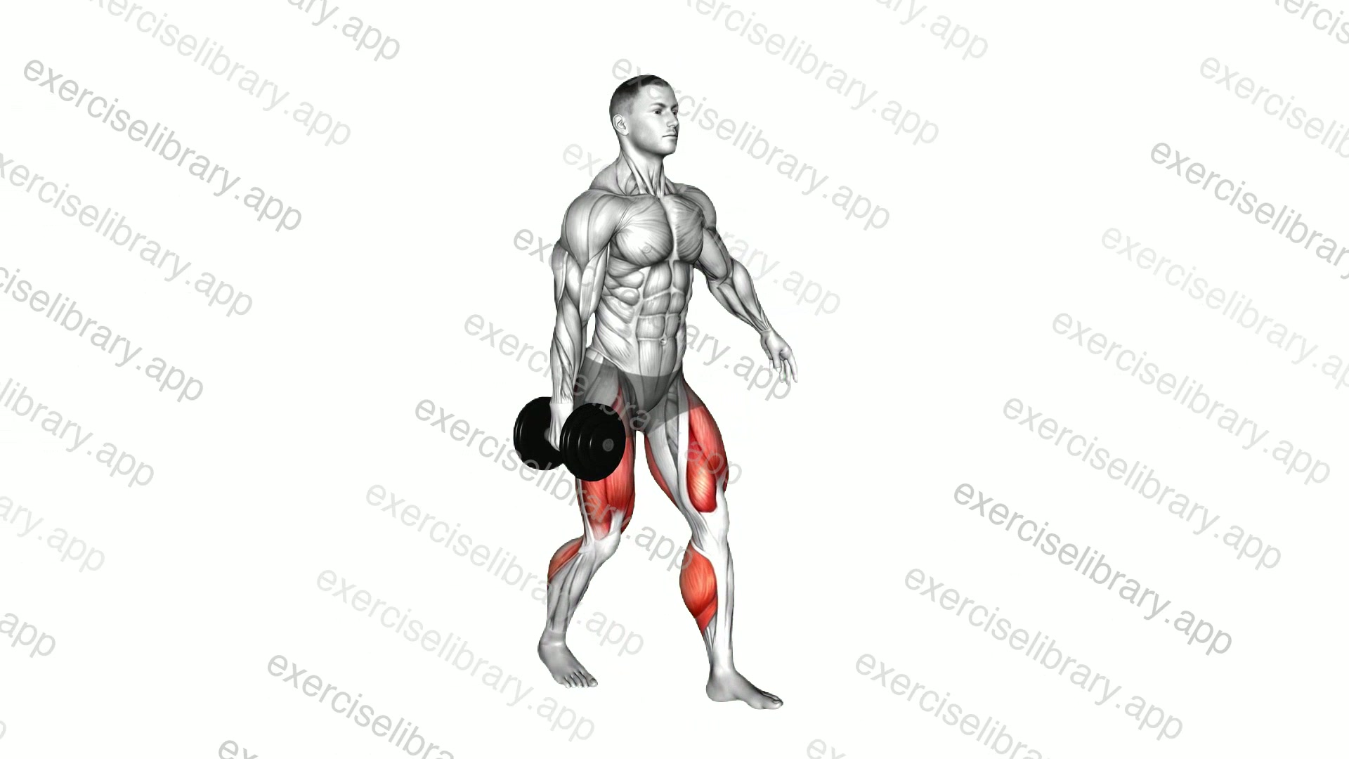 Dumbbell Suitcase Carry demonstration
