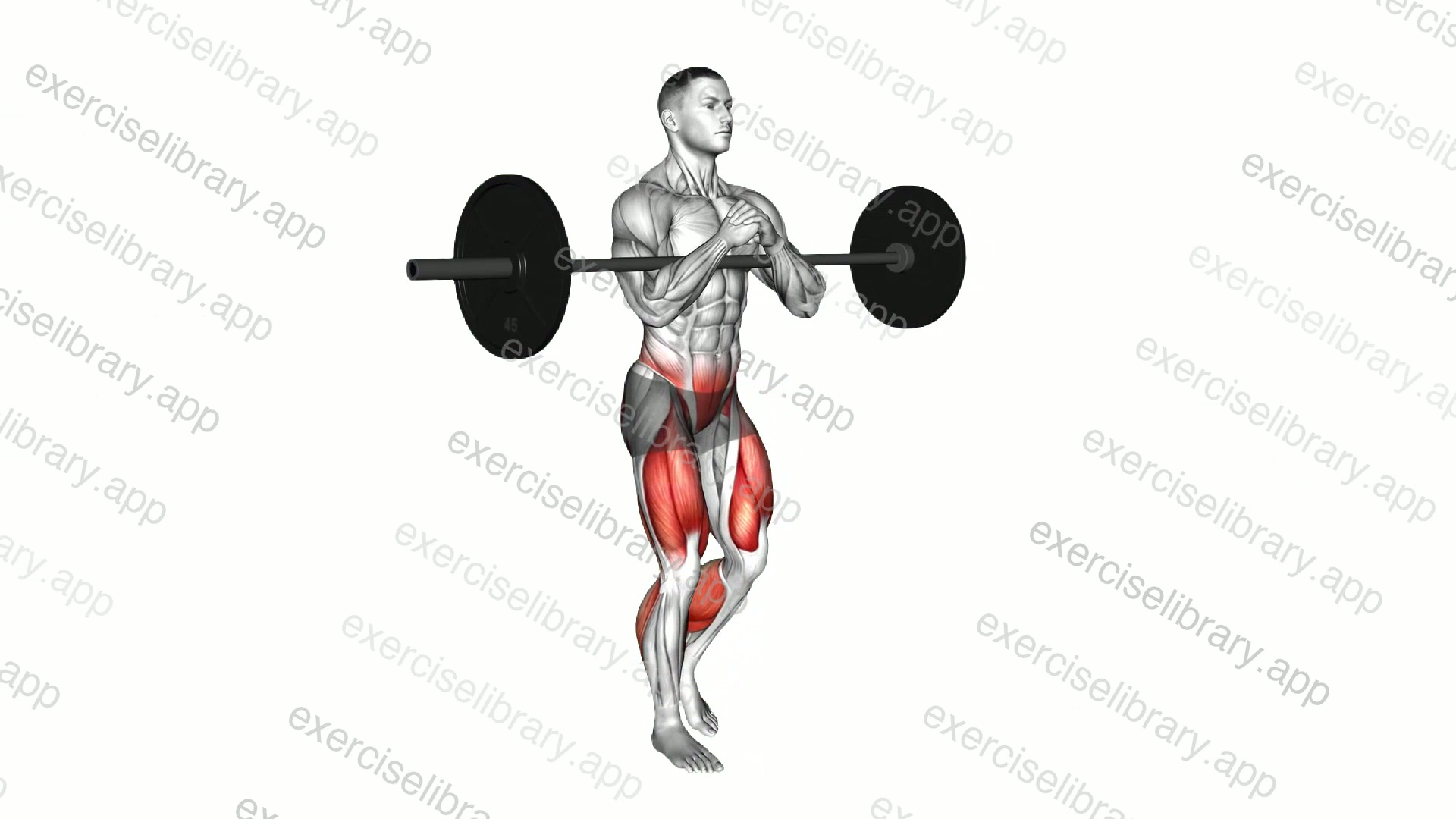 Barbell Zercher Carry demonstration