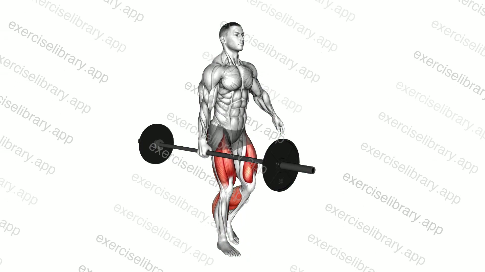Barbell Suitcase Carry demonstration