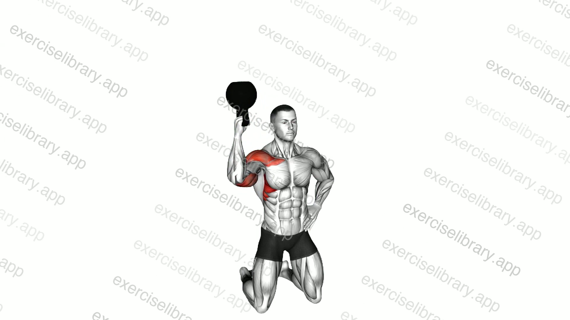 Kettlebell Kneeling One Arm Bottoms-up Press demonstration