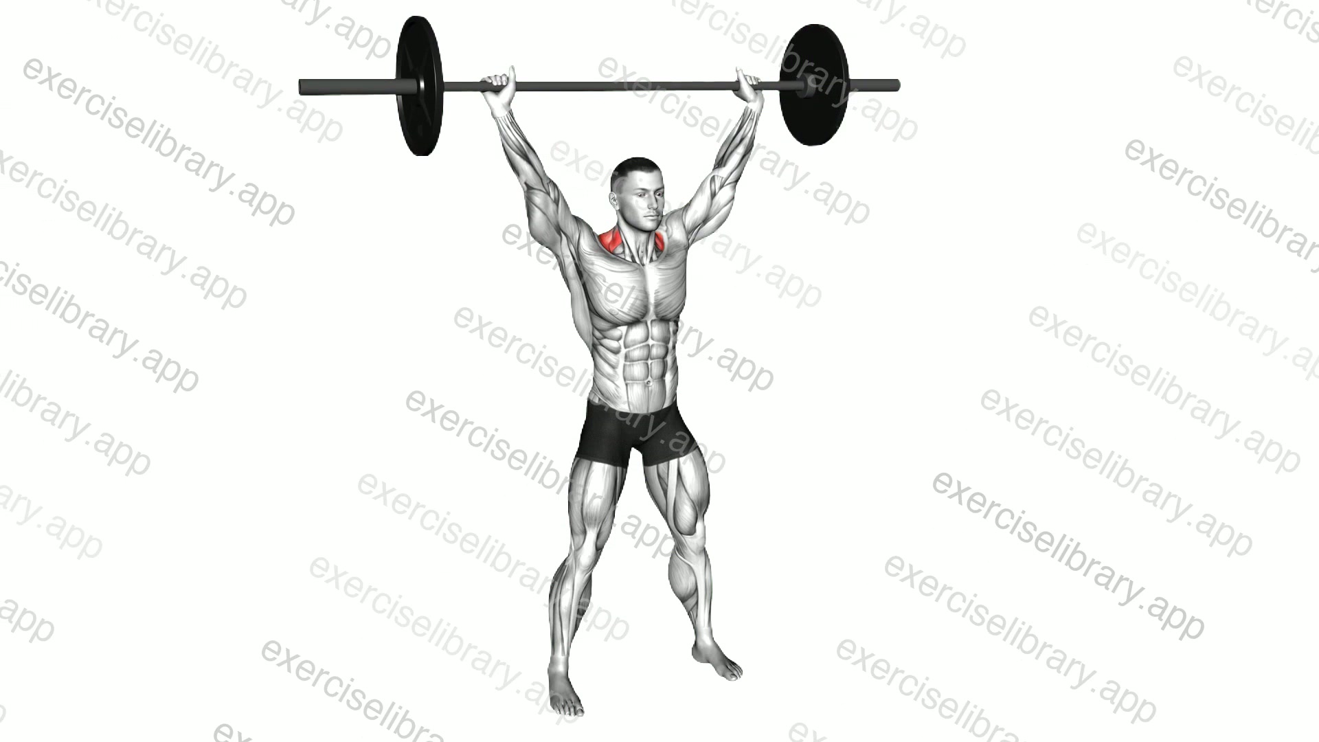 Barbell Overhead Shrug demonstration