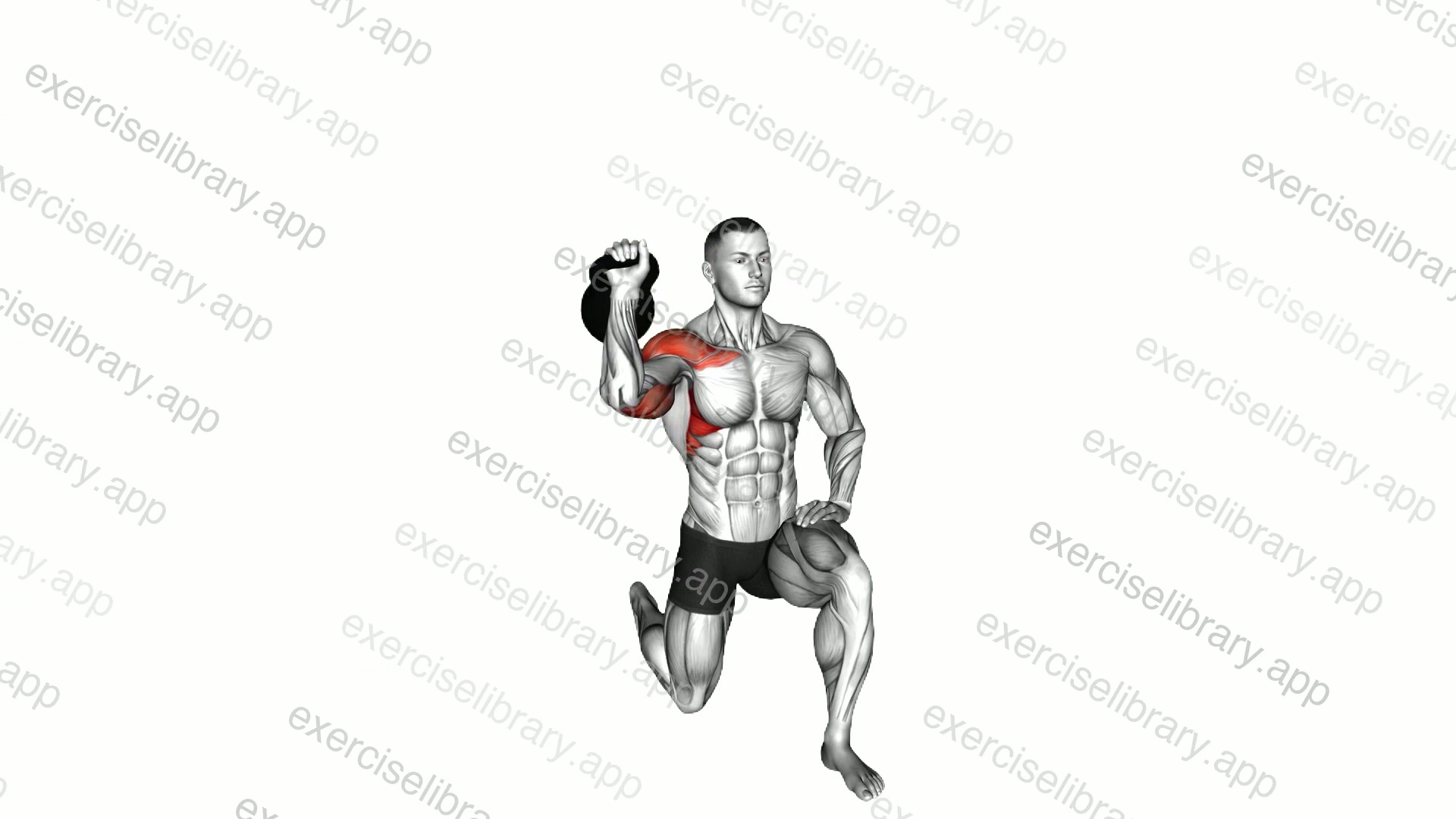 Kettlebell Half Kneeling Shoulder Press demonstration