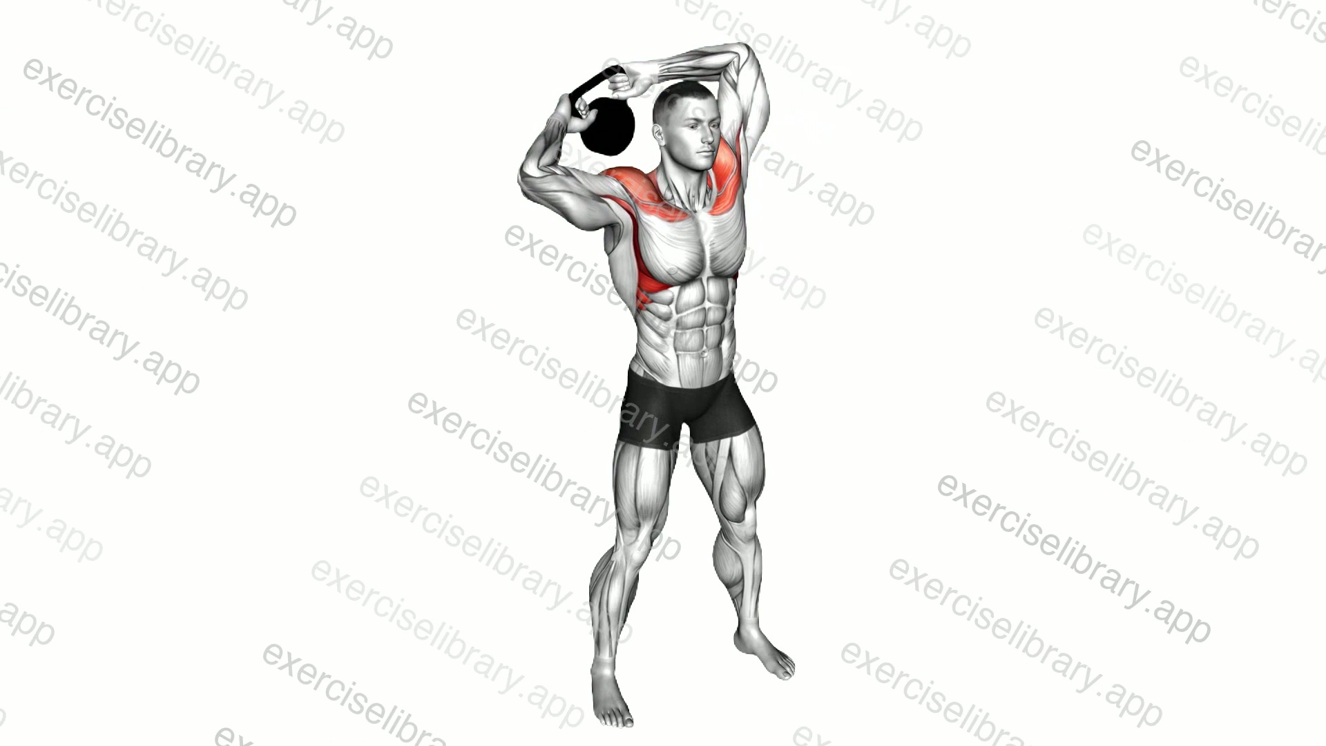 Kettlebell Around Head Rotation demonstration