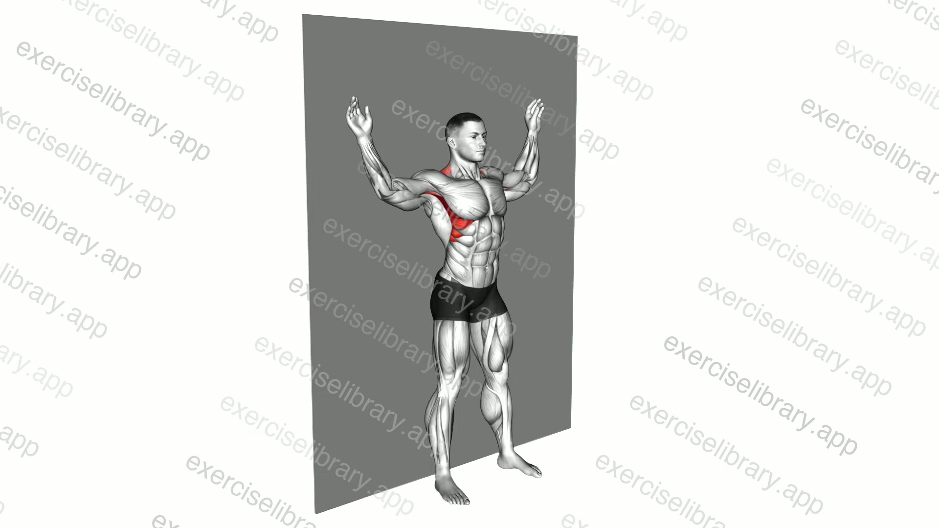 Scapula Slide Back to Wall demonstration
