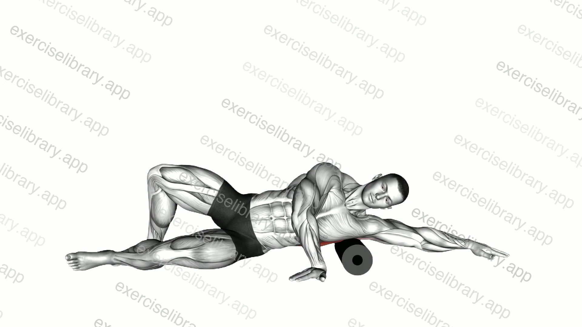 Roll Lat Foam Rolling demonstration