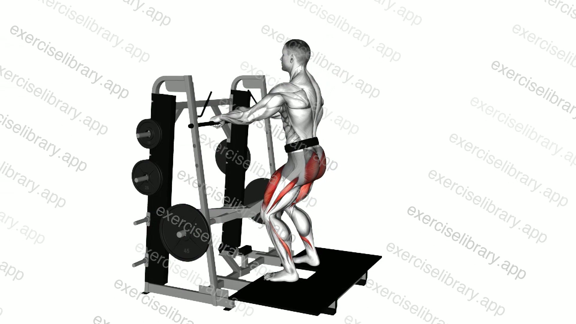 Lever Belt Squat demonstration