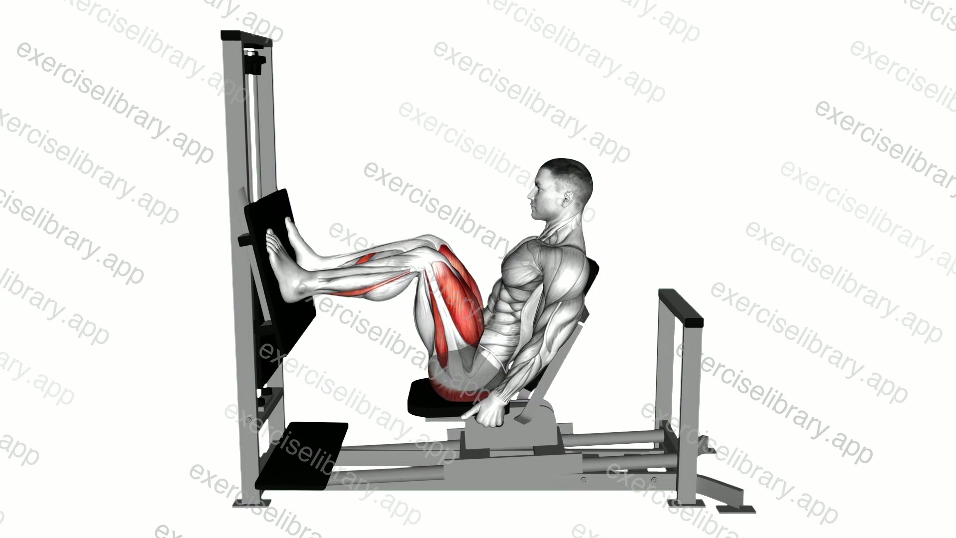Lever Horizontal Leg Press demonstration