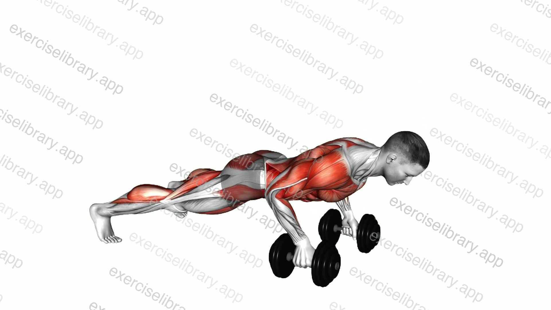 Plank Push-Up Row demonstration