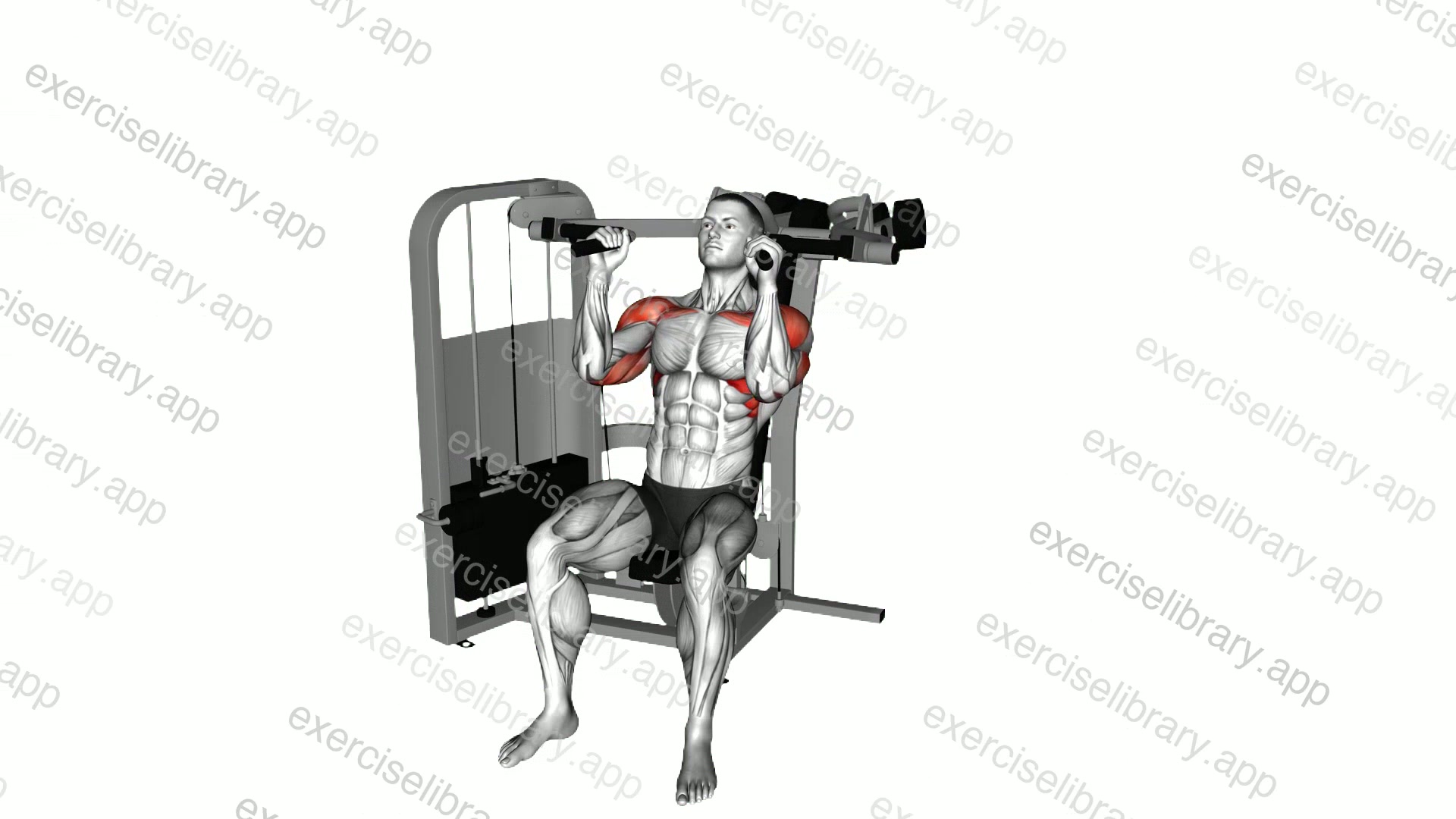 Lever Seated Hammer Grip Shoulder Press demonstration