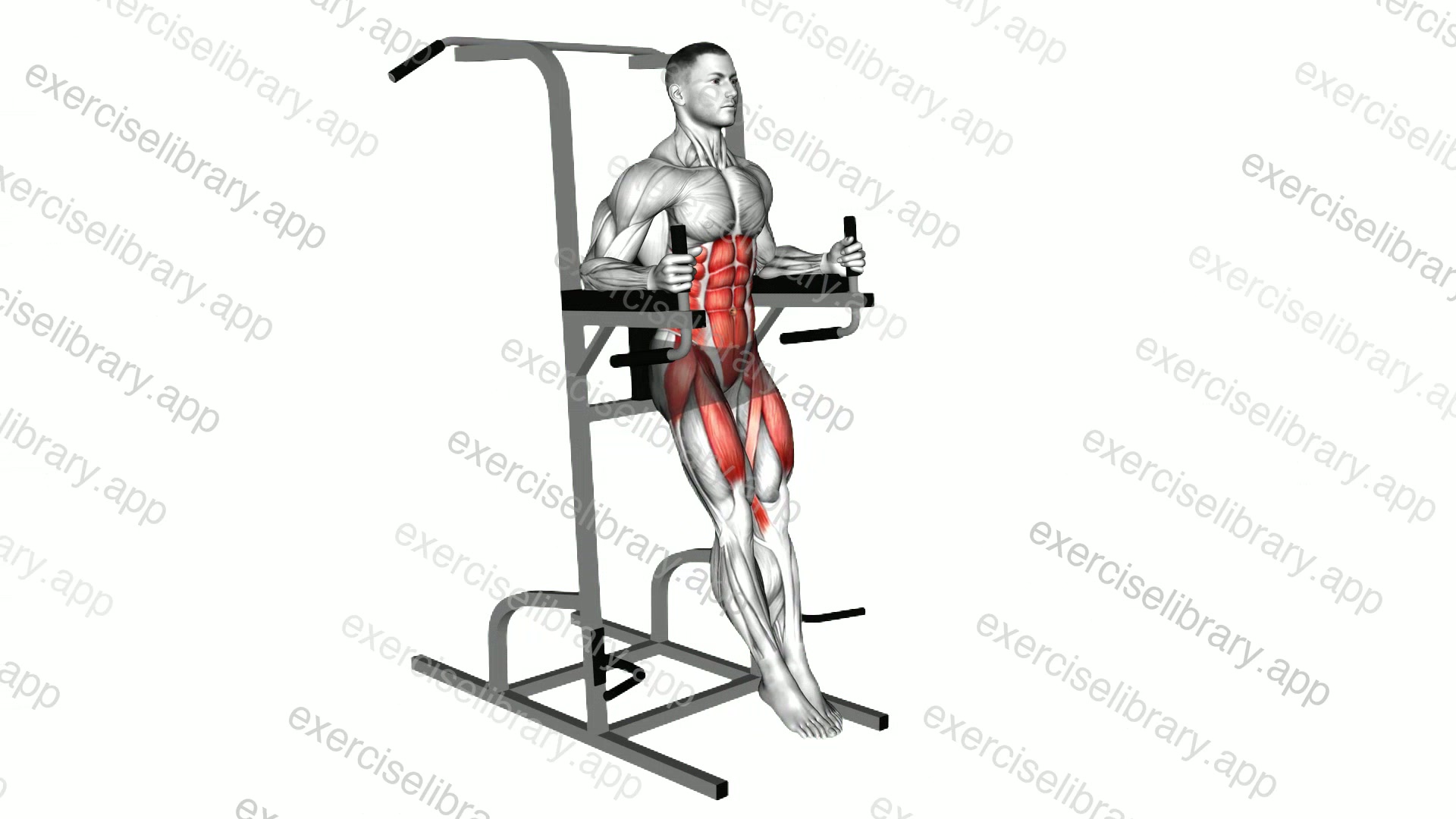 Captains Chair Straight Leg Raise demonstration
