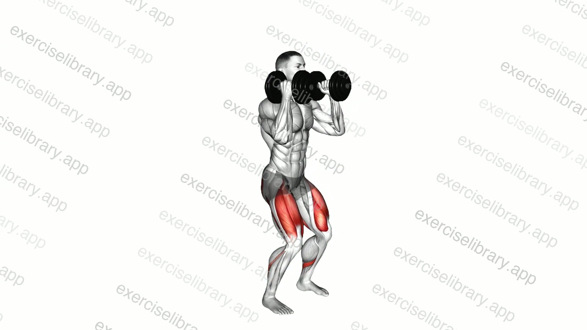 Dumbbell Front Squat demonstration
