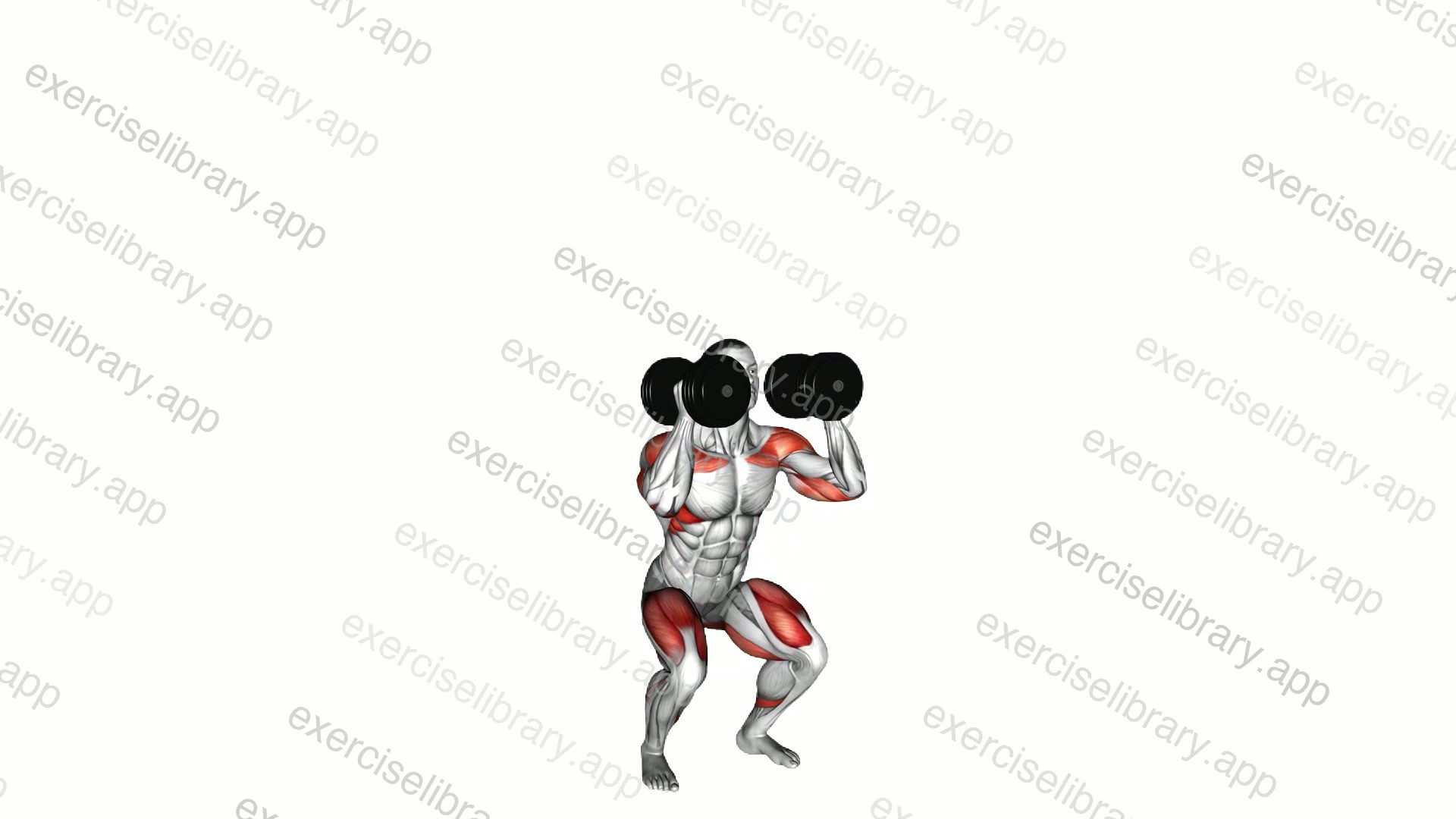 Dumbbell Thruster demonstration