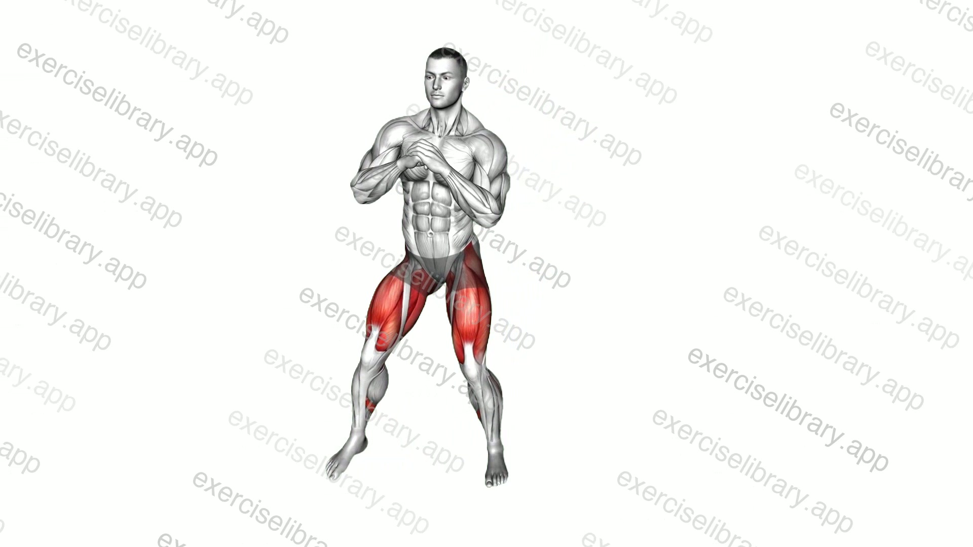 Side Lunge demonstration