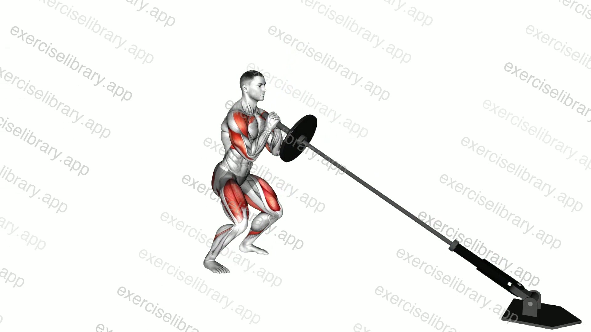Landmine Squat and Press demonstration