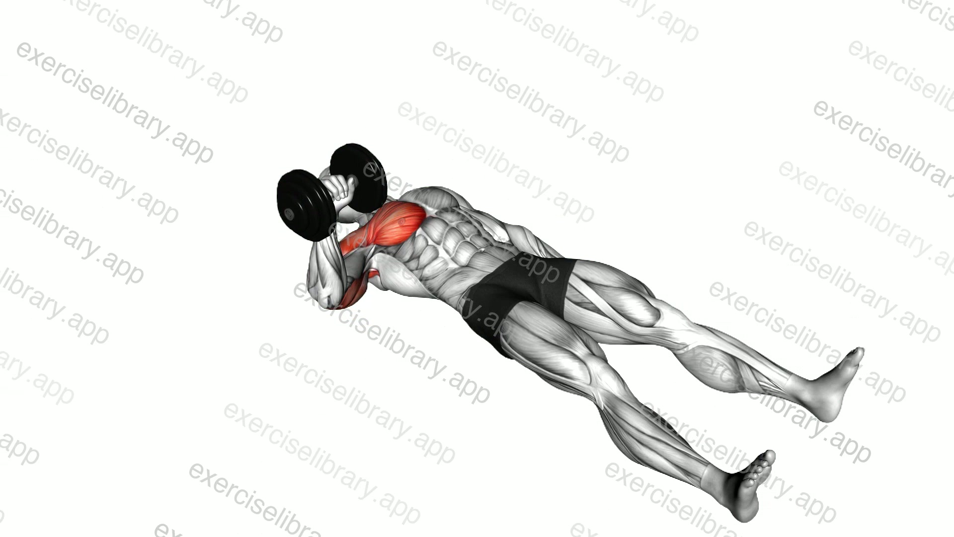 Dumbbell Alternating Floor Press demonstration