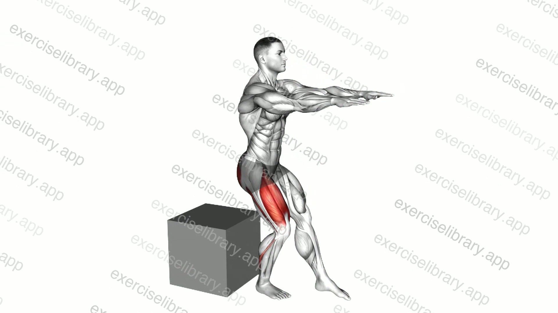 Pistol Squat to Box demonstration