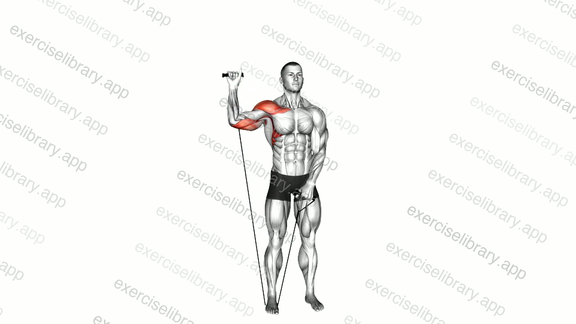 Band Single Arm Shoulder Press demonstration