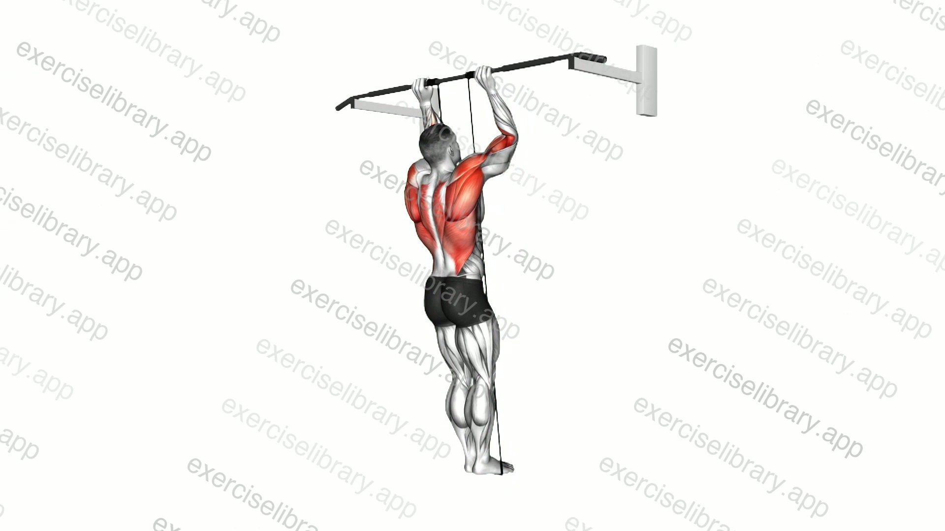 Band Assisted Pull-Up demonstration